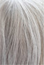 Hybrid Hairline Topper